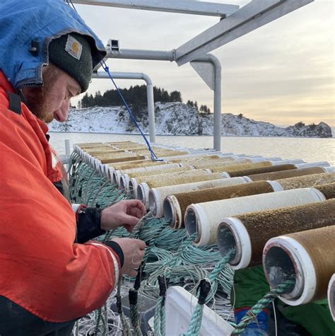 Alaska Sea Grant: Foundations of Kelp Farming: a hands-on workshop intensive