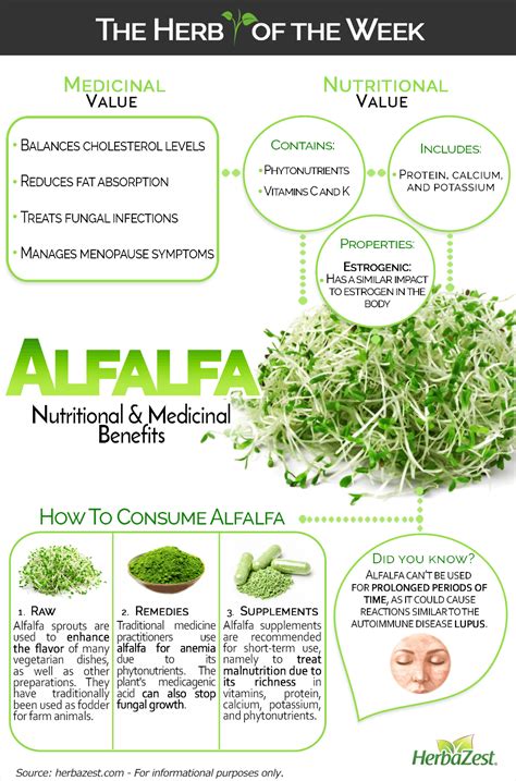 Alfalfa. It contains many health properties apart from its nutritive value. Calendula Benefits ...