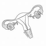 Uterus Coloring Pages sketch template