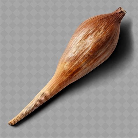 Png Shallot Bulb Vegetable Elongated Shape Characterized by Its ...