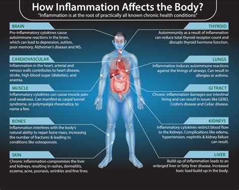 Top 12 Inflammatory Lab Markers and Optimal Ranges