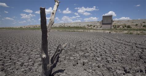 Texas drought killed 300 million trees last year