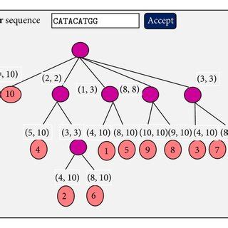 Construction of a suffix tree. | Download Scientific Diagram