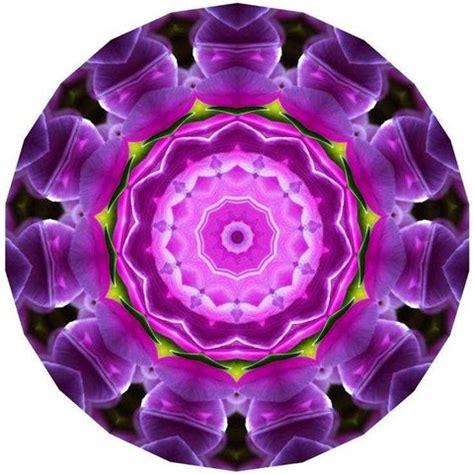 Chakra Crystal Kit - The Soul Star Chakra – High Ho Gems and Crystals