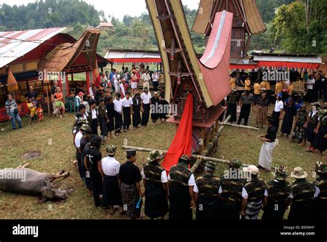 Indonesia, Sulawesi (Celebes), Toraja land, Tana Toraja, funeral Stock ...