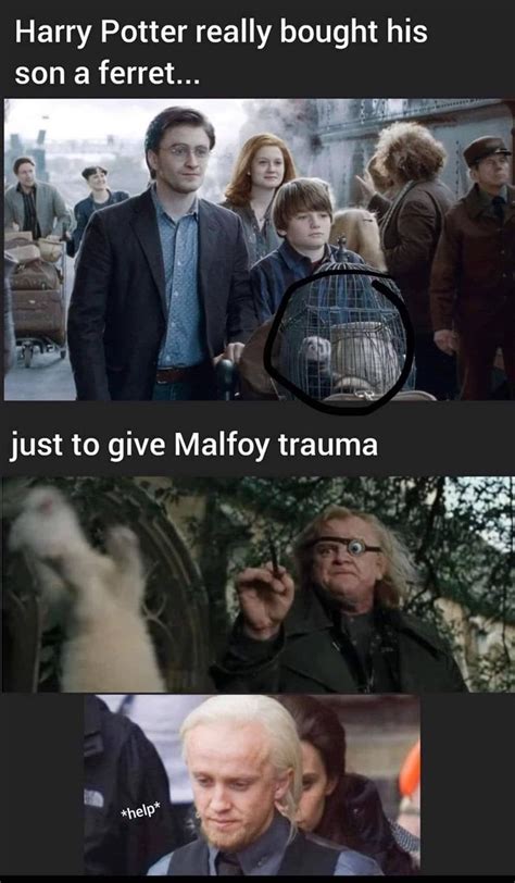 The Best Harry Potter Memes of the Week (April 4, 2023) | Harry potter memes, Harry potter funny ...