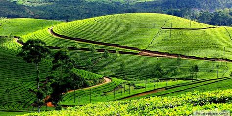 Ooty Hill Station Tamil Nadu,How To Reach Ooty From Delhi, Ooty weather