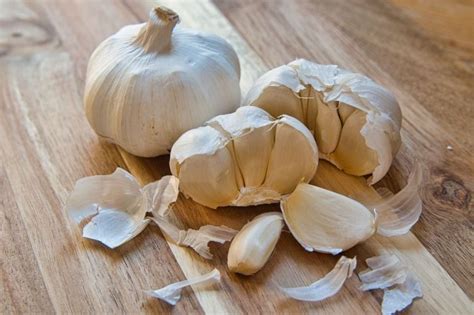 Homemade Garlic Spray for Pests - Dre Campbell Farm