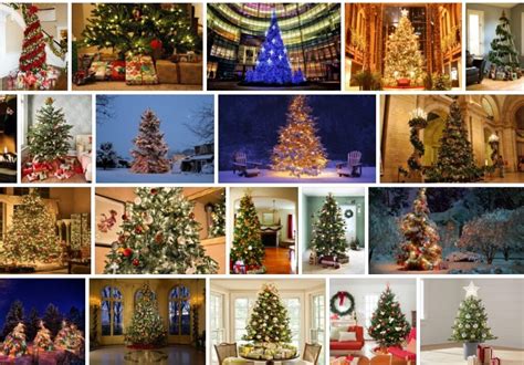 Menards Christmas Trees - Cheapest Christmas Trees **2021 | Tree Types