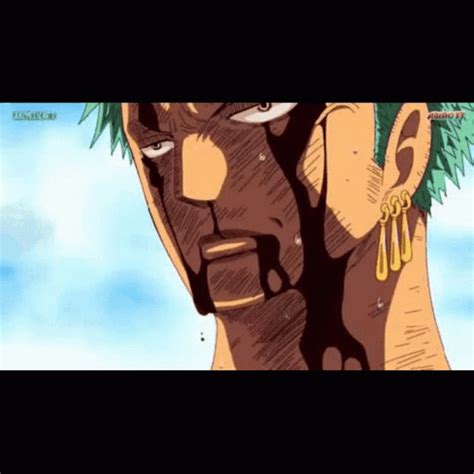 Nothing Has Occurred Here Roronoa Zoro GIF - NothingHasOccurredHere ...