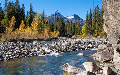 Yellowstone Fall Colors Base Camp - A Yellowstone Life