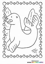Seals  Coloring Pages For Kids sketch template
