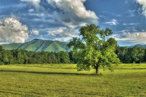 Cades Cove Loop Street in Nice Smoky Mountains Nationwide Park ...