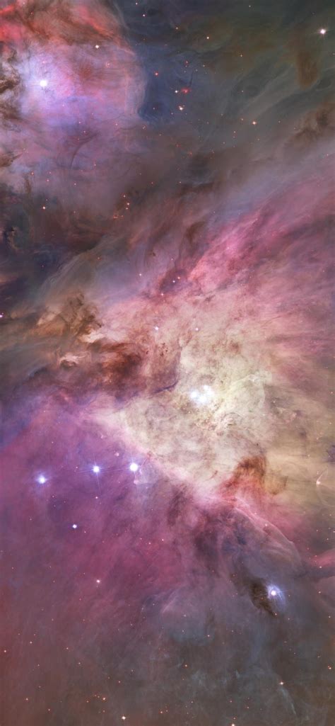 Orion Nebula Wallpaper Hd