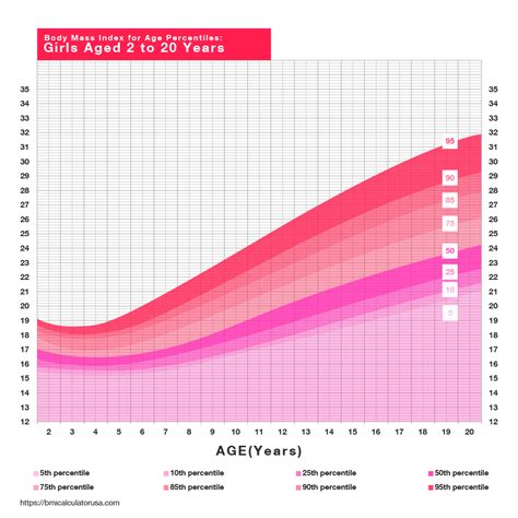 Free BMI Calculator - Calculate Your Body Mass Index