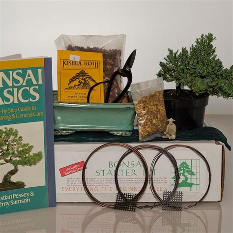 Bonsai Tree Kit - Etsy