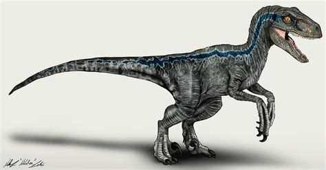 Jurassic World Velociraptor Blue by NikoRex | Blue jurassic world, Jurassic world, Jurassic ...