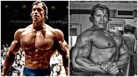 Arnold Chest Workout Bodybuilding | EOUA Blog