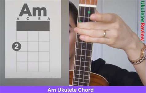 How to play Am Ukulele Chord with 4 Easy Variations - Ukuleles Review