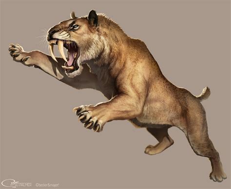 Smilodon | Dinopedia | FANDOM powered by Wikia