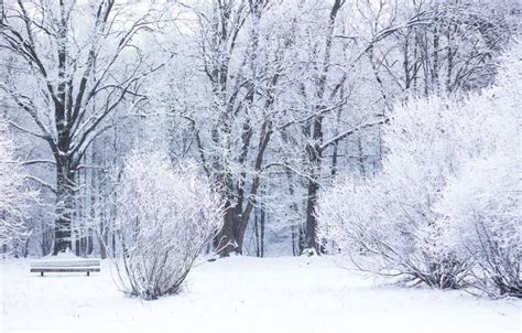 Snowy winter day stock photo. Image of field, landscape - 64664238