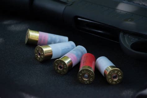 80+ 12 Gauge Shotgun Accessories Stock Photos, Pictures & Royalty-Free ...