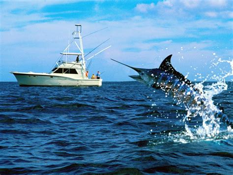 Everything You Need to Know About Destin Fishing Charters