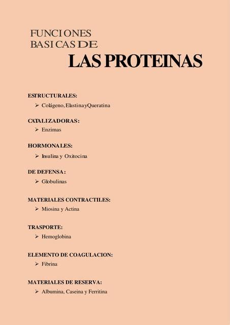 FUNCIONES DE PROTEINAS | Dra. Yersalud | uDocz