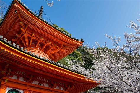 What To Do In Wakayama - The 10 Most Beautiful Places To Visit