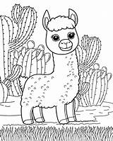 Llama Coloring Page 09  Pages sketch template