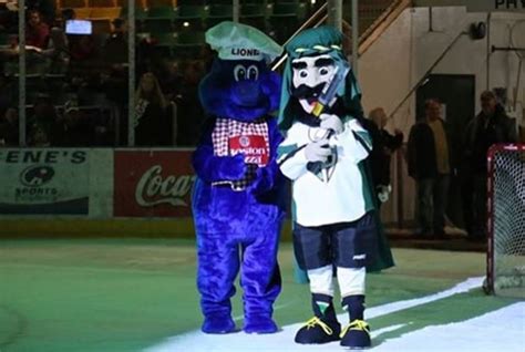 Prince Albert Raiders mascot latest controversial sports figure | CBC News