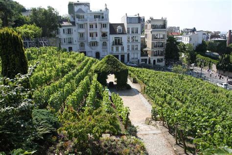 Clos Montmartre | Urbanvineyards