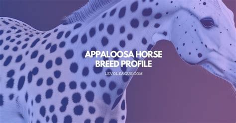 Appaloosa Horse Breed Profile: Facts, Temperament, Lifespan, and Care