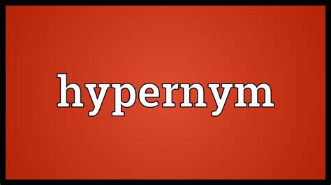 Hypernym Meaning - YouTube