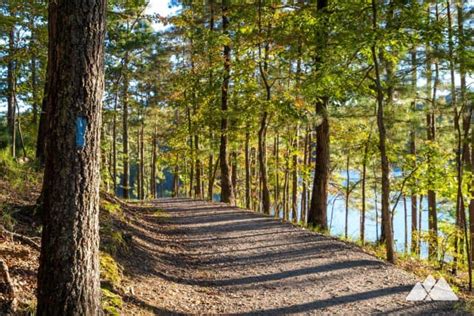 Red Top Mountain State Park: Hiking the Iron Hill Loop Trail