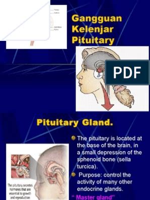 tentang kelenjar pituitari - Stephanie Langdon