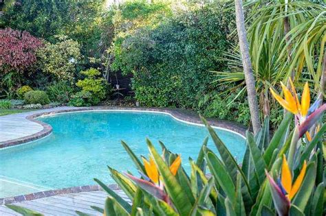 The Best Plants for Swimming Pool Landscaping - My Pool Guy