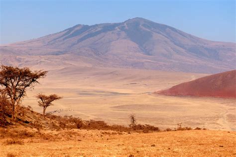 Visiter Le cratère du Ngorongoro, Tanzanie - A faire, à voir à Le ...