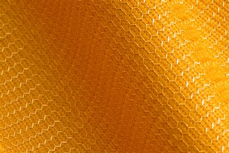 Patterned by Nature: Honeycomb Fabric | Architecture & Design