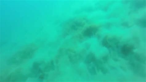 Underwater Earthquake Caught on Camera - YouTube