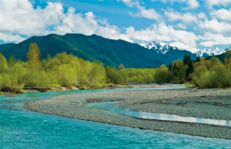 Hoh River - Western Rivers Conservancy