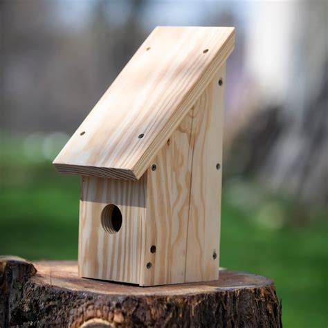 Wooden Birdhouse Kit – Mutual Adoration + POST