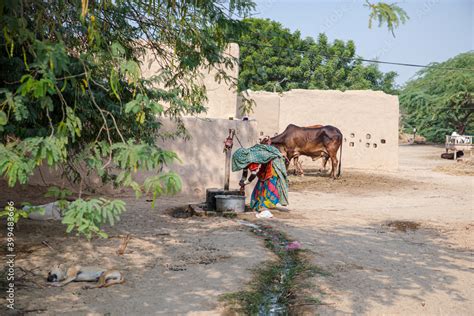 village life , rural houses in villages at Punjab in Pakistan and India ...