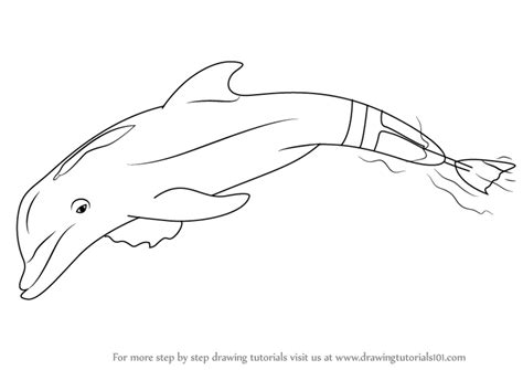 How To Draw A Dolphin Tail Easy - Draw easy