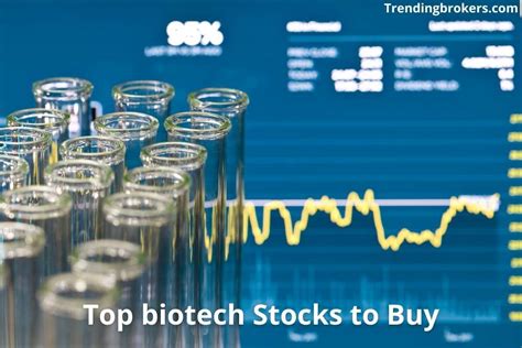 Top Biotech Stocks To Buy In 2021: Best Investing Guide