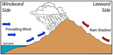 Lab 08: Atmospheric Moisture and Stability – Laboratory Manual for ...