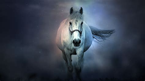 White Horse Desktop Wallpapers - Wallpaper Cave