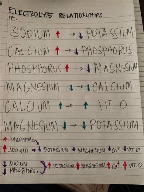 electrolytes relationships | Nursing school motivation, Medical school essentials, Nursing ...