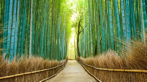 25 Most Beautiful Places in Japan | Condé Nast Traveler