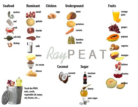 Ray Peat Diet Results - DIET BHW